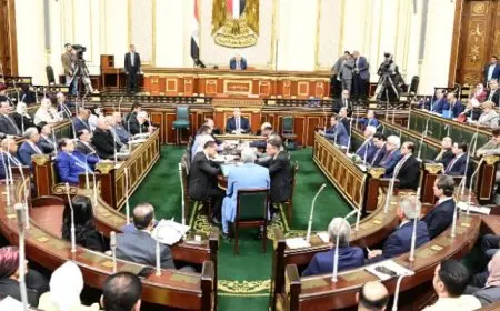 النواب يوافق على ضوابط وإجراءات تفتيش المنازل في الإجراءات الجنائية