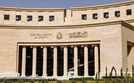 المركزي يطرح أذون بقيمة 135 مليار جنيه في 4 أيام