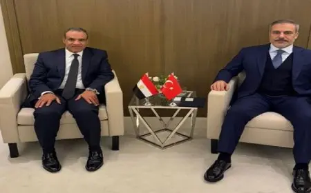 وزير الخارجية يؤكد ضرورة تكثيف جهود مكافحة الإرهاب وعدم إيواء إرهابيين بسوريا