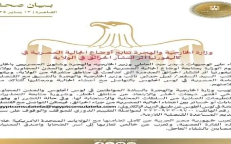 الخارجية: نتابع أوضاع الجالية المصرية في كاليفورنيا إثر انتشار الحرائق بالولاية