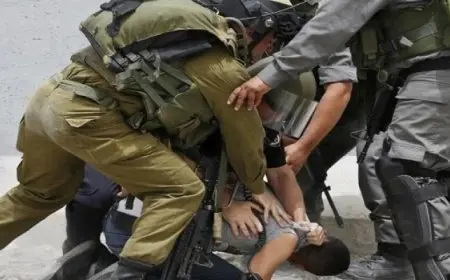 قوات الاحتلال تعتقل 7 مواطنين من مدينة نابلس ومخيم العين وبيت لحم