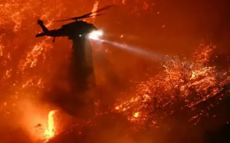 ارتفاع عدد ضحايا الحرائق في لوس أنجلوس بالولايات المتحدة إلى 24 قتيلا