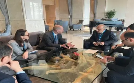 وزير الكهرباء يبحث مع وفد بنك إعادة الإعمار والتنمية الأوروبي سبل دعم وتعزيز التعاون المشترك