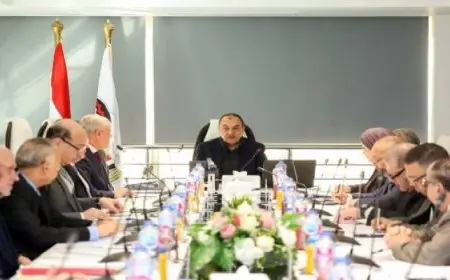 وزير قطاع الأعمال يؤكد تعزيز مساهمة الشركات التابعة في النهضة العمرانية التي تشهدها مصر