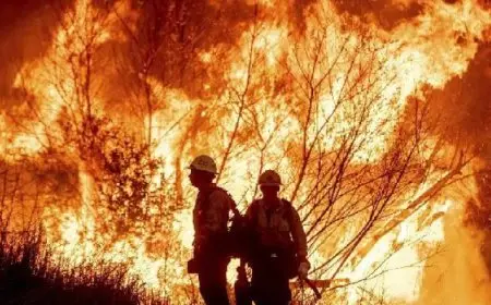 حرائق لوس أنجلوس إجمالي الأراضي التي التهمتها النيران تزيد على مساحة باريس