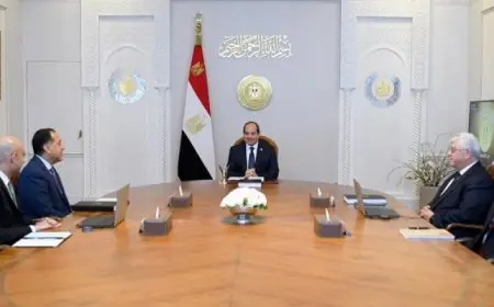 الرئيس السيسي يوجه بضرورة تجهيز أفرع الجامعات المصرية وفقاً للمعايير العالمية