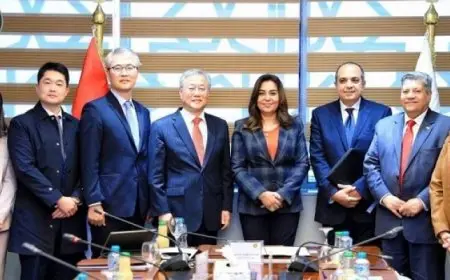 وزيرة التنمية المحلية تبحث تعزيز التعاون مع كوريا الجنوبية