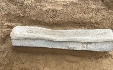 اكتشاف تابوت روماني قديم عمره 1500 عام في إنجلترا