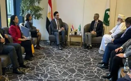 وزير الثقافة: مصر ستظل راعية لجميع المبادرات والأنشطة الهادفة لتعزيز الهوية الثقافية العربية