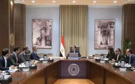 رئيس الوزراء يلتقى نائب رئيس “مجموعة جيلى أوتو القابضة” لاستعراض خطة المجموعة لتصنيع السيارات فى مصر بالشراكة مع “أوتو موبيلتى”