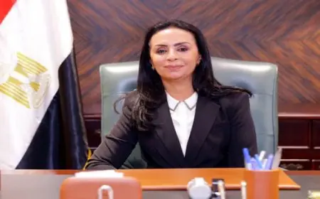 وزيرة التضامن الاجتماعي تصدر قرارا بتكليف الدفعة 104 من خريجى الجامعات لأداء الخدمة العامة