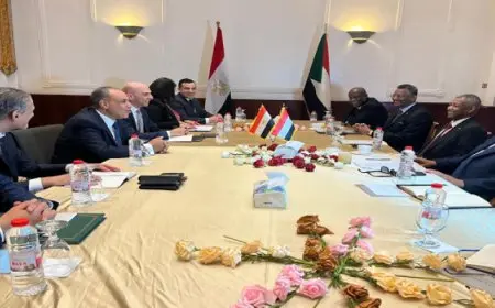 بال .. وزير الخارجية يؤكد دعم مصر الكامل للسودان ومؤسساته الوطنية