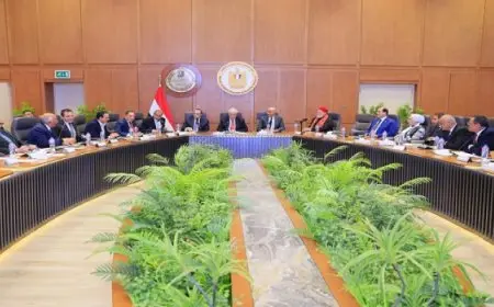 وزراء التعليم العالى والتربية والتعليم والشئون النيابية والقانونية يعقدون جلسة نقاشية مع أعضاء “النواب” حول مقترح “نظام شهادة البكالوريا المصرية”