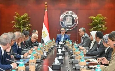 وزير الاستثمار يبحث مع شركتين فرص الاستثمار في مجال صناعة الإطارات بمصر