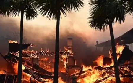 ارتفاع عدد ضحايا الحرائق في لوس أنجلوس بالولايات المتحدة إلى 25 قتيلا