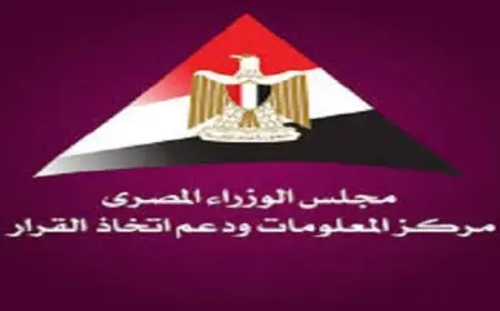 “معلومات الوزراء” يستعرض تقرير صندوق النقد حول التحول نحو الوظائف الخضراء