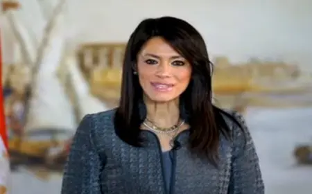 المشاط تفتتح اجتماع اللجنة الفرعية للنقل والبيئة والطاقة في إطار الشراكة الاستراتيجية مع الاتحاد الأوروبي