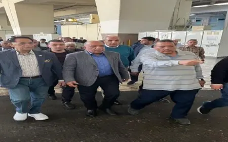 وزير الكهرباء يتفقد محطة توليد كهرباء السد العالى بأسوان