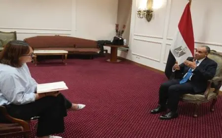 عبد العاطى لـ”أسوشيتد برس”: على إسرائيل وحماس تنفيذ اتفاق وقف إطلاق النار فى غزة دون أى تأخير