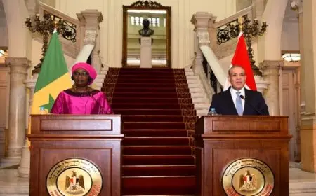 عبد العاطى : اعتزم زيارة السنغال قريبًا و بحثت مع “فال” التعاون فى مجالى الزراعة والنقل