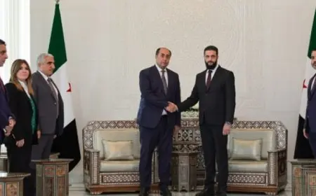 بال .. الشرع يستقبل في دمشق وفدا رفيعًا من جامعة الدول العربية