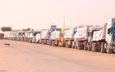 وزيرة التضامن من أمام معبر رفح : مصر على أهبة الاستعداد لتكثيف إدخال المساعدات لقطاع غزة فور بدء سريان الهدنة