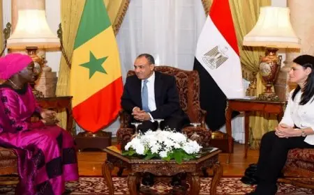 بال .. جلسة مباحثات بين عبد العاطي ووزيرة خارجية السنغال بحضور المشاط