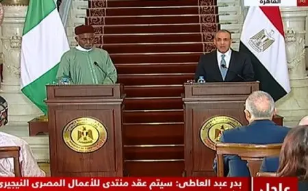 وزير الخارجية يؤكد عمق علاقات التعاون بين مصر ونيجيريا