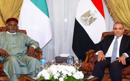 بال ..انعقاد الجولة الثالثة للمشاورات السياسية بين مصر ونيجيريا على المستوى الوزارى