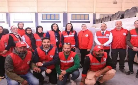 وزيرة التضامن الاجتماعي: آلية إدخال المساعدات الإنسانية لقطاع غزة تتم تحت رعاية الدولة المصرية