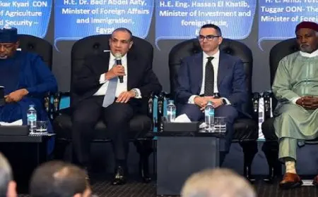 وزير الخارجية: منتدى الأعمال “المصري-النيجيري” منصة مهمة لتعزيز التعاون الاقتصادي المشترك
