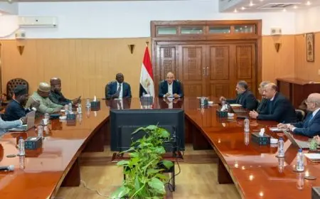 وزير الرى يؤكد حرصه على تعزيز التعاون مع نيجيريا فى إدارة الموارد المائية