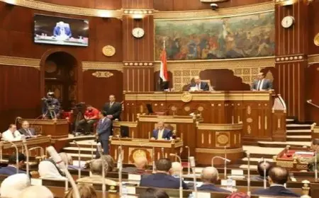 مجلس الشيوخ يستأنف اليوم جلساته باستعراض طلبات مناقشة حول تطوير المطارات