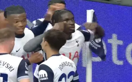 توتنهام يتلقى خسارة جديدة على يد إيفرتون في الدوري الإنجليزي