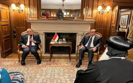 وزير الخارجية يلتقى ممثلى الجالية المصرية في بلجيكا ولوكسمبورج