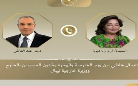 وزير الخارجية يؤكد أهمية قيام أطراف اتفاق وقف إطلاق النار بغزة بتنفيذ كافة بنوده دون تأخير