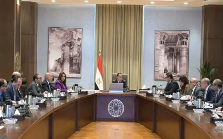 بال .. رئيس الوزراء يستعرض مقترحات تكليف كيان مختص لإدارة وتشغيل القاهرة الخديوية بعد إحياءها
