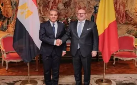 وزير الخارجية يشيد بالعلاقات المتميزة بين مصر وبلجيكا على الأصعدة كافة