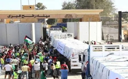 إدخال شاحنات المساعدات الإنسانية إلى قطاع غزة لليوم الثانى على التوالى