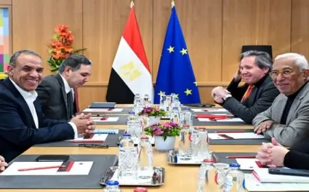 وزير الخارجية يبحث مع رئيس المجلس الأوروبى ترفيع الشراكة الاستراتيجية