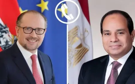 السيسى يستعرض هاتفيا مع مستشار النمسا جهود ضمان تنفيذ اتفاق وقف إطلاق النار فى غزة
