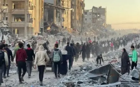 فى اليوم الثانى من الهدنة بغزة .. إصابة نازحين فى رفح برصاص الاحتلال والبحث عن جثامين 10 آلاف شهيد تحت الأنقاض