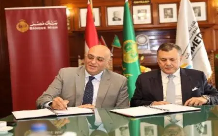 300 مليون جنيه من جهاز تنمية المشروعات لتمويل المشروعات متناهية الصغر