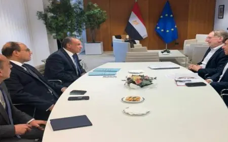 وزير الخارجية يستعرض فى لقاء بمقر البرلمان الأوروبى مسار تطور العلاقات بين مصر والاتحاد