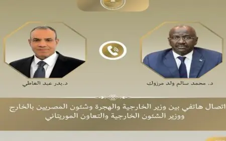 وزير الخارجية يشيد بالتنسيق المتبادل بين مصر وموريتانيا حيال مختلف القضايا إقليميا