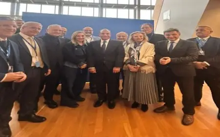 عبد العاطي يعرب عن تقديره لدعم اليونان والنواب اليونانيين بالبرلمان الأوروبى لترفيع العلاقات بين مصر والاتحاد الاوروبى