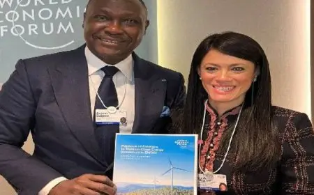 المشاط: مصر تستهدف التحول إلى مركز إقليمي لاستثمارات الطاقة المتجددة