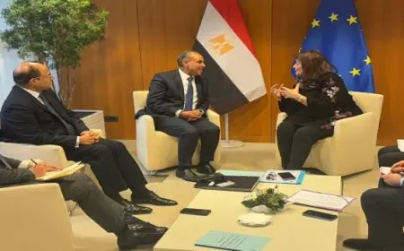 وزير الخارجية يبحث مع المفوضة الأوروبية للمتوسط سبل تعزيز التعاون المشترك