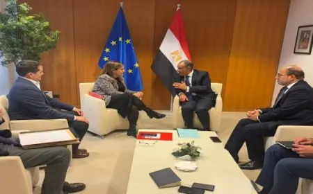 وزير الخارجية يلتقى مع رئيسة مجموعة الاشتراكيين والديمقراطيين بالبرلمان الأوروبى