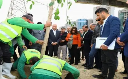 وزيرة التنمية المحلية ومحافظ القاهرة يتفقدان تنفيذ المرحلة الأولى لمشروع زراعة وتشجير الطريق الدائرى